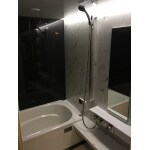 ライン照明が引き立つモノトーンの浴室