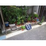 Before