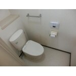 節水性の高い綺麗を保つトイレに