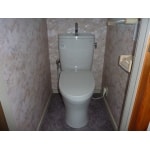 節水力のある機能的なトイレ