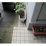 Before