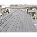 ディプロマットという高耐久の材質の屋根になりました。