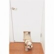 部屋の扉に犬の通り口を設置。
くぐり口は柔らかなアクリル素材を採用。