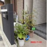 Before