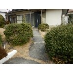 Before