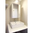 シンプルで清白な独立洗面台

サニタリールームへ改装したお部屋でもあるため、
空間に馴染みやすい、
シンプルな洗面台を使用