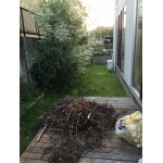Before