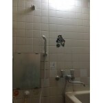 浴室シャワー水栓交換