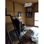 Before