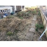 Before