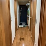 Before