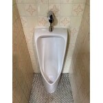 ピカピカで気持ちのいいトイレになりました