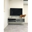 猫さんテレビボードの上もお気に入りに？！