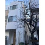 外壁塗装工事