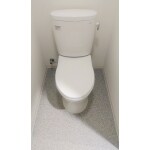 汚れにくく、お掃除しやすいトイレ新設