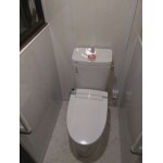 422.和式から洋式トイレへ