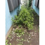 Before