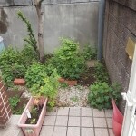Before