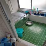 Before