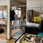 Before