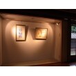 スポットライトと琉球畳が演出するやさしい空間で、お客様だけの美術館をお楽しみいただけます。