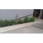 小さな花壇スペース 庭 ガーデニング リフォーム事例 施工事例 No B リフォーム会社紹介サイト ホームプロ