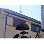 屋根