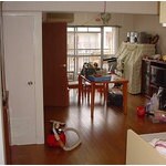 明るいリビングを中心に、住みながらのリフォーム