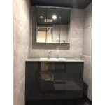洗面台　TOTO エクシア