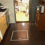 ネコと一緒に楽しく暮らせるスタイルに