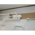 人も猫もストレスのない家に