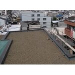 屋根