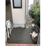 庭・ガーデニング