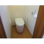 大便器取り換え