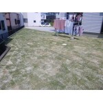 芝生を敷き詰めたお庭工事
