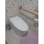 タンクレストイレですっきりと