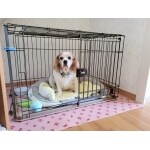 ワンちゃんの落ち着く場所はココ