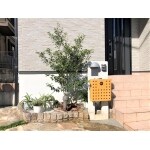 玄関横花壇改修工事 庭 ガーデニング リフォーム事例 施工事例 No B リフォーム会社紹介サイト ホームプロ