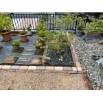 花壇周りにレンガの設置