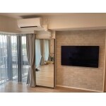 エコカラット　壁掛けTV＆造作ミラー