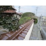 大手塀の笠堀取替工事