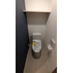 手洗いなしトイレでスッキリ空間に