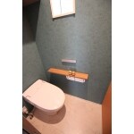 アクセントクロスで楽しむトイレ