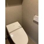 落ち着いたおしゃれなトイレに