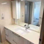 お洒落なエスクア洗面化粧台　ゆったりととのう自分時間