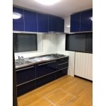 単身男性のクールなシステムキッチン