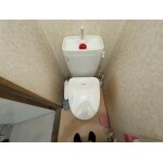大阪府枚方市　K様　トイレリフォーム