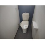 落ち着きと便利さを備えたトイレリフォーム