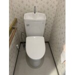 ウォシュレット付きトイレに交換