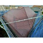 既存カラーから大きく印象が変わった仕上がりになりました